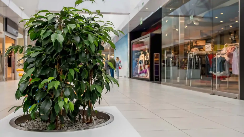 rena golv vid butiker